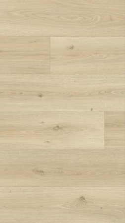 240008018 - POWELL OAK BLONDE